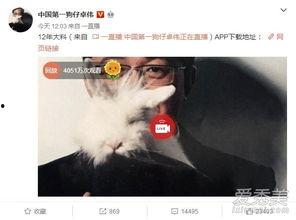 娱乐爆料白百何事件,真相与反思